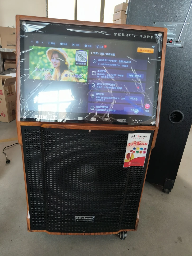 99新 NINTAUS/金正 n10-9触屏双咪有会员不售后