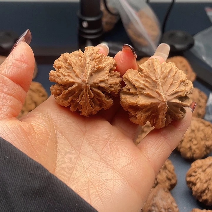 把件龙脊菩提秦岭核桃