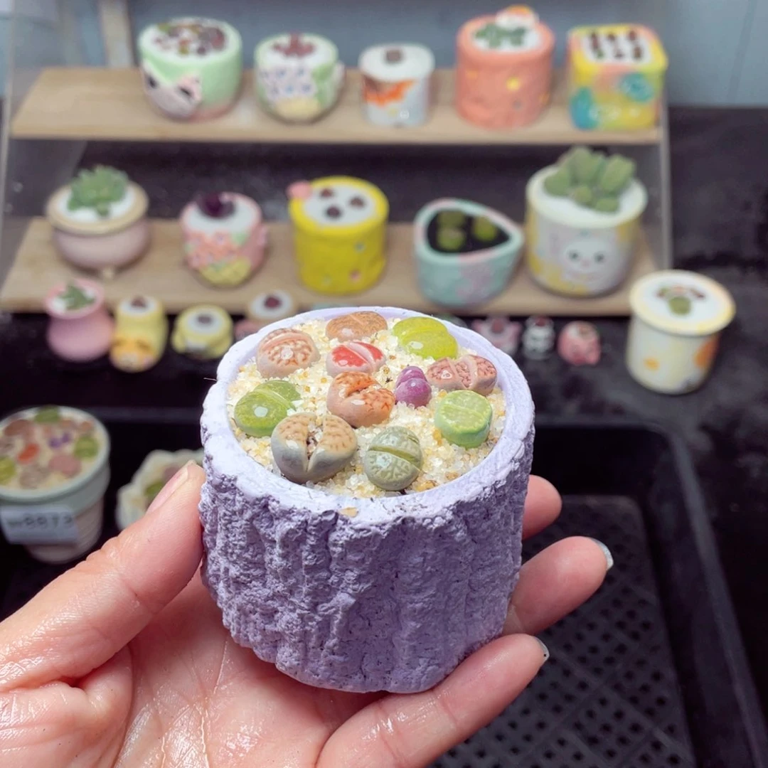 w8876 带盆土发货-零下地区拍保温箱