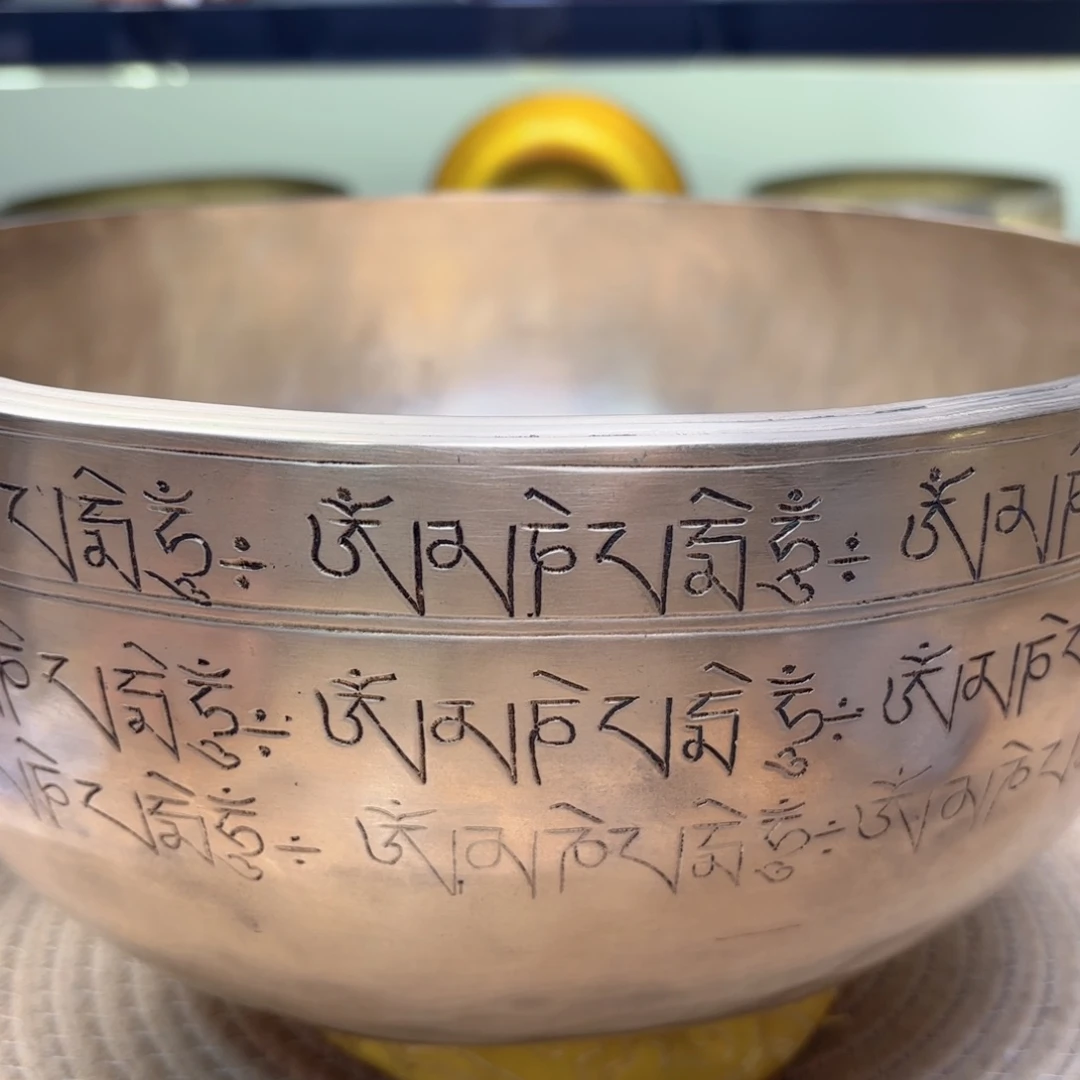 光*佬颂钵11111111111111111