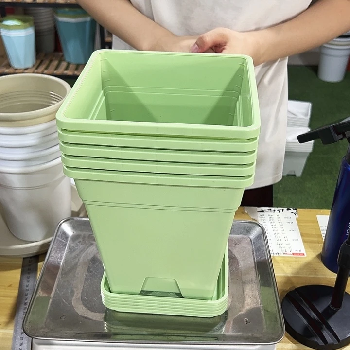 正品方盆口20高22果绿带托5只