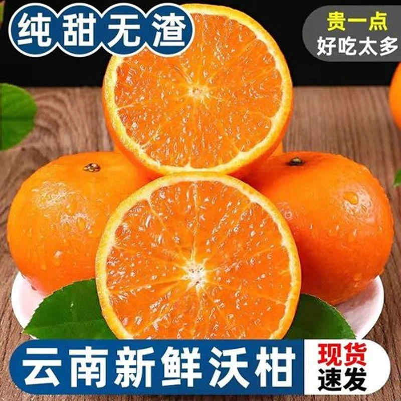 云南沃柑哀牢山种植纯甜花皮果新鲜采摘柑橘子不打药不打蜡非坏果
