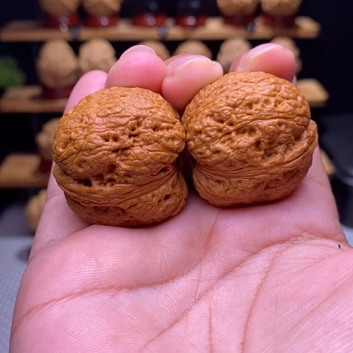 木质类云铁树皮元宝41号