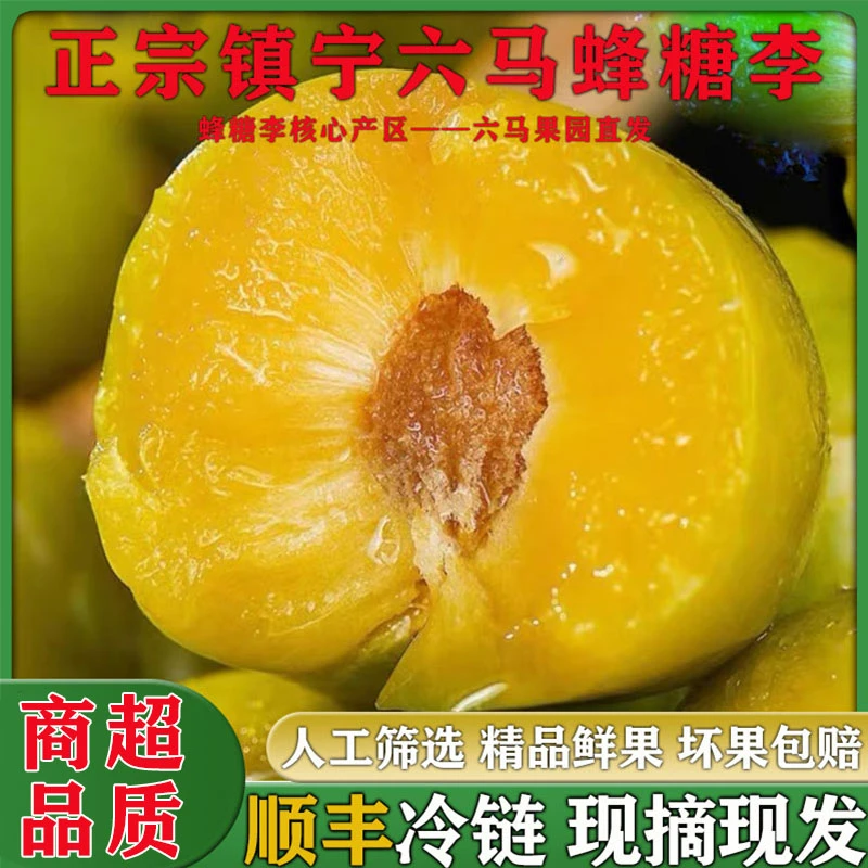 【顺丰冷链/气调锁鲜】正宗贵州镇宁六马蜂糖李子新鲜水果大果脱骨