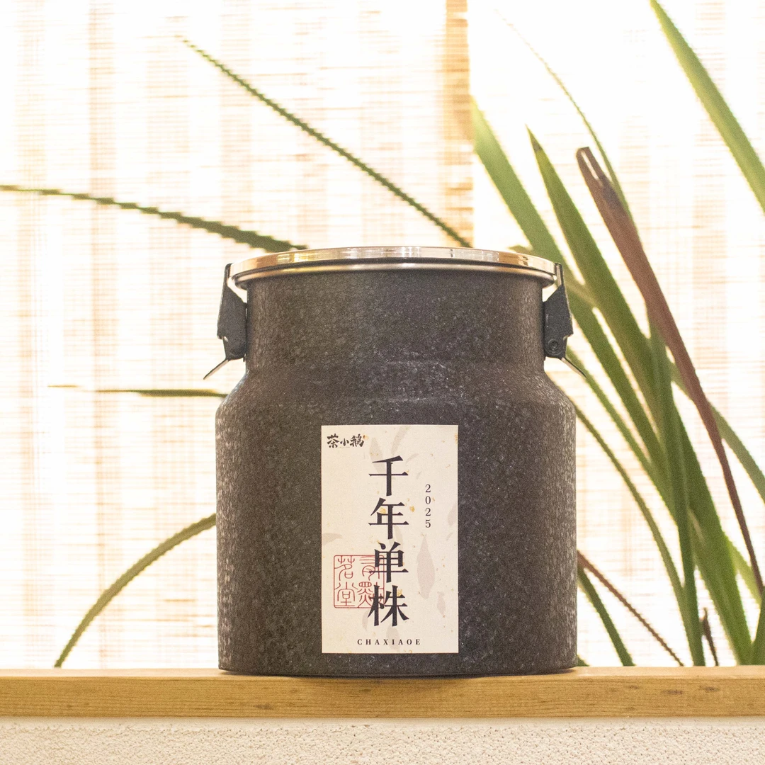 茶小鹅【千年单株】2025年云南临沧千年古树单株普洱生茶龙珠30g