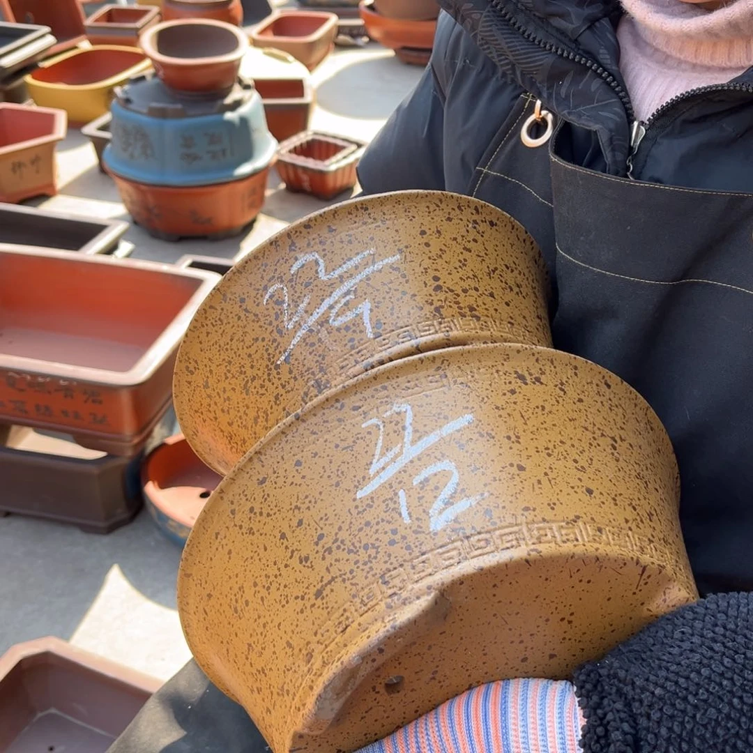 紫砂花盆盆景艺术