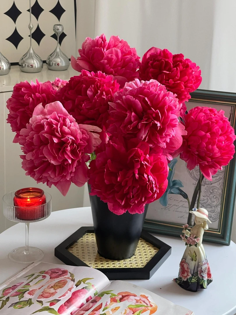 【向云端】御前表演-芍药花