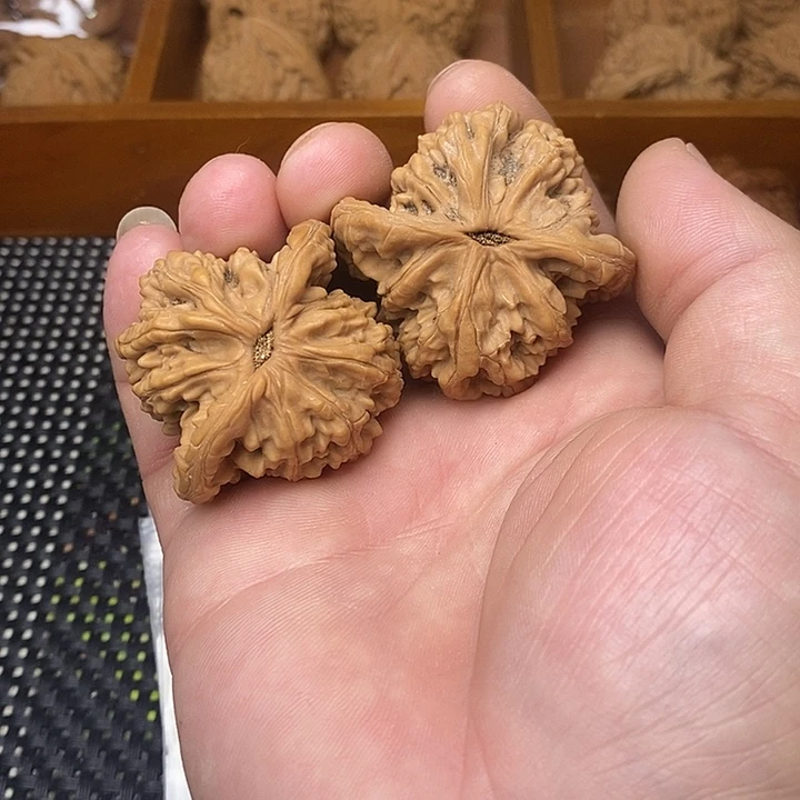 等***人文玩核桃吊坠525:525