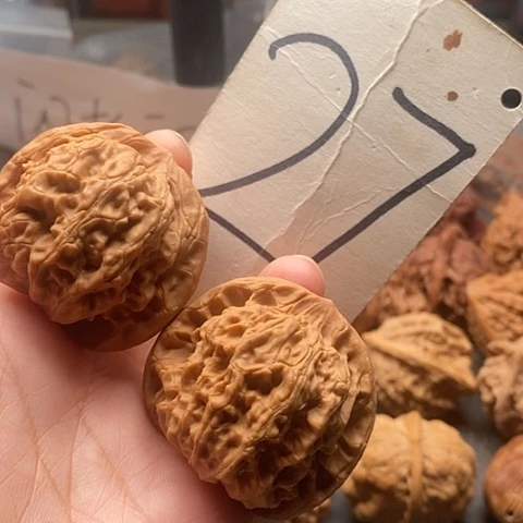 桃核吊坠42太行血狮子