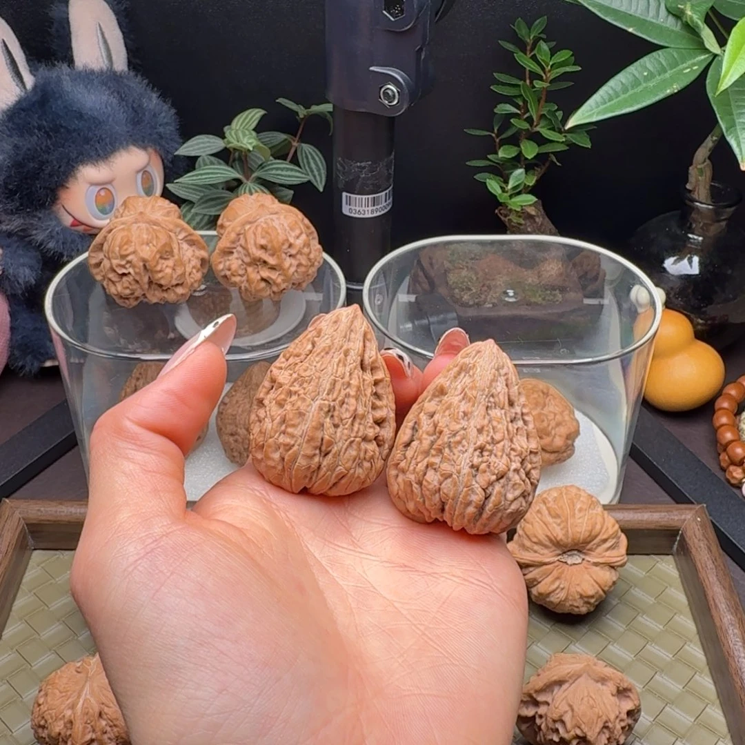 龙脊菩提把件全品原树一代正版坐佛34