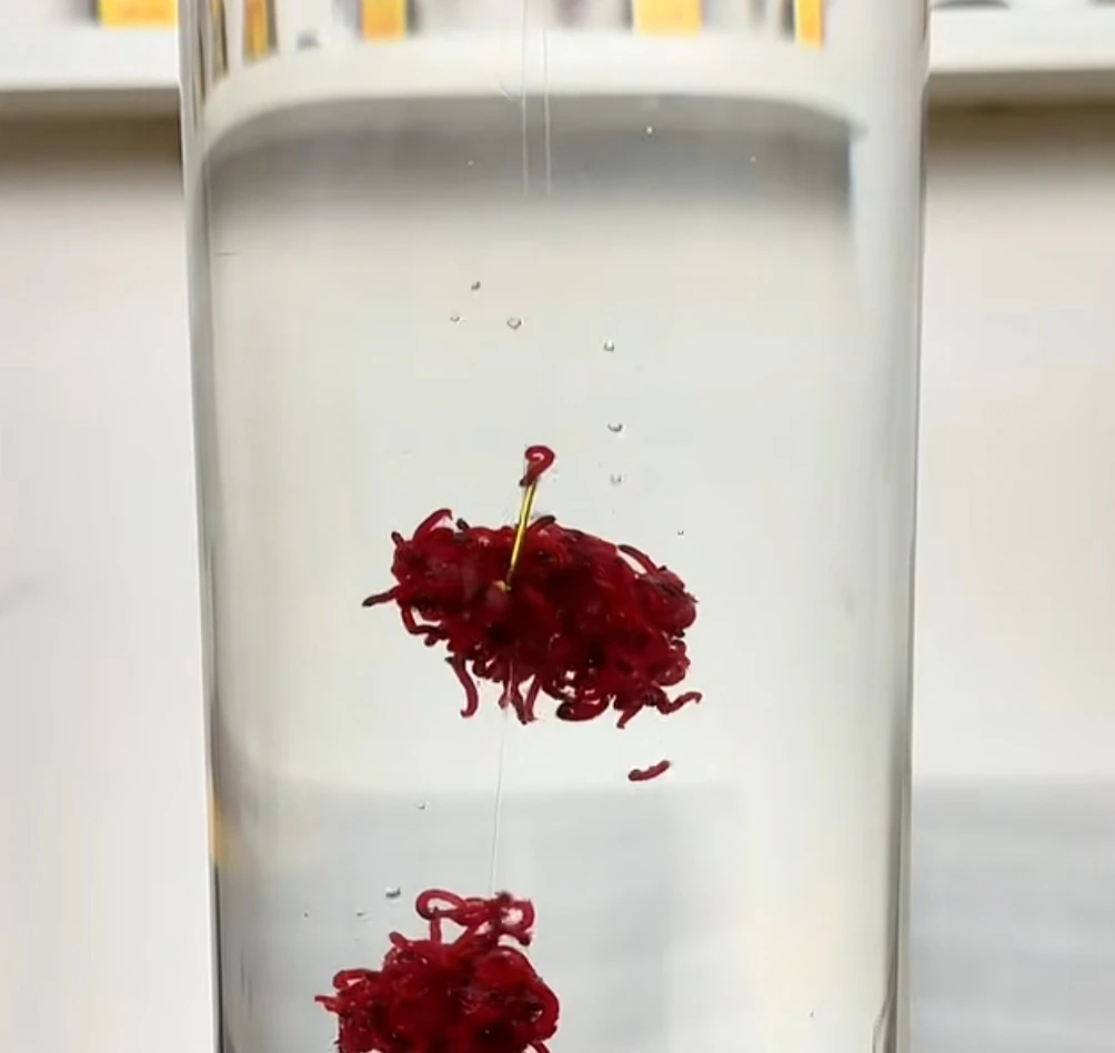红虫伴侣拉饵状态拉鱼饵垂钓饵料状态粉钓鱼雾化好红虫粉深水可用