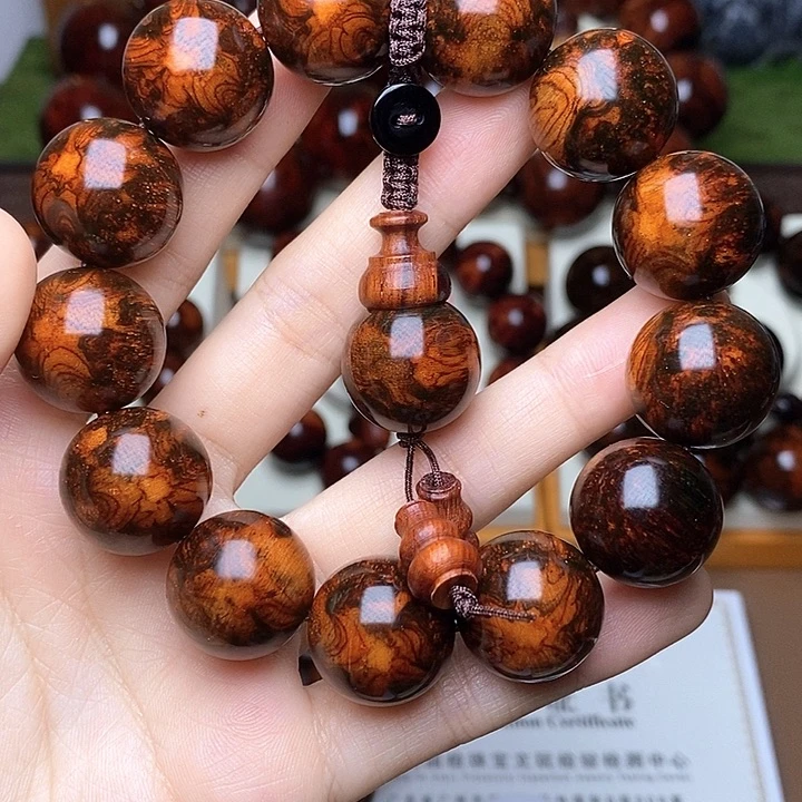 黄花梨/降香黄檀孤**生