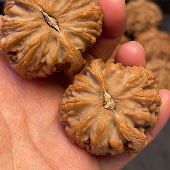 文玩核桃吊坠突突突突突突突突突突