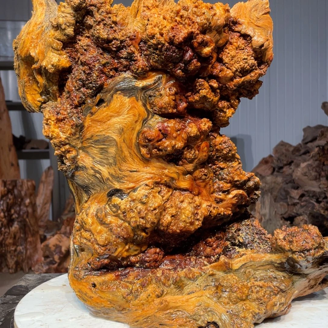 孤***木猛子琥珀木摆件11