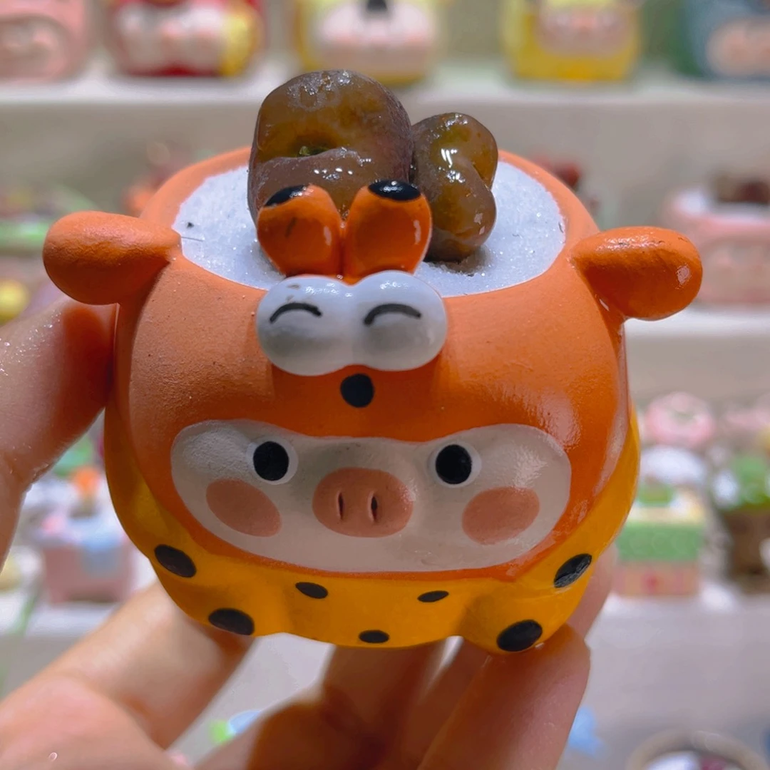 131高端多肉带盆带土手工盆