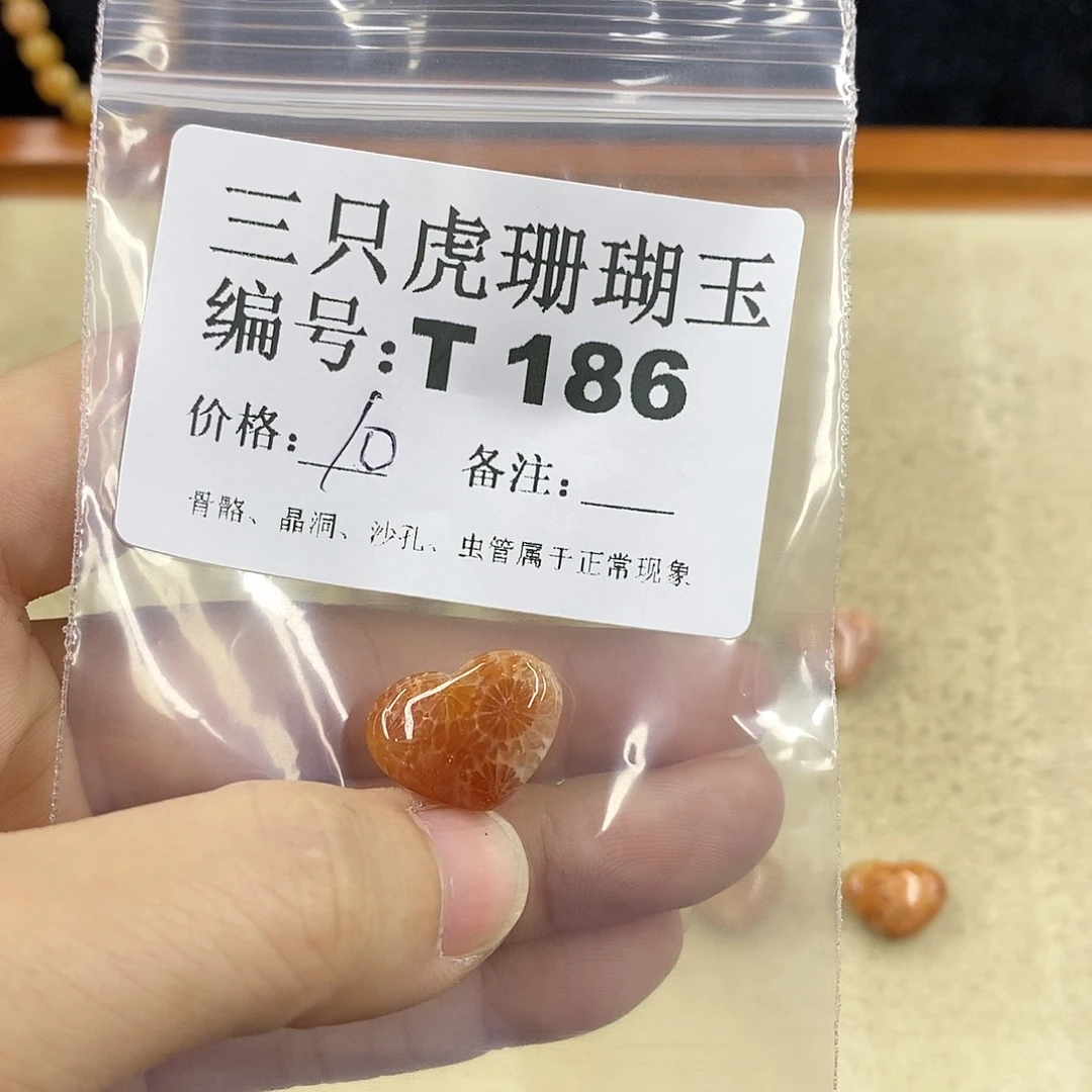 硅化珊瑚(珊瑚玉)1未镶嵌初**蛰
