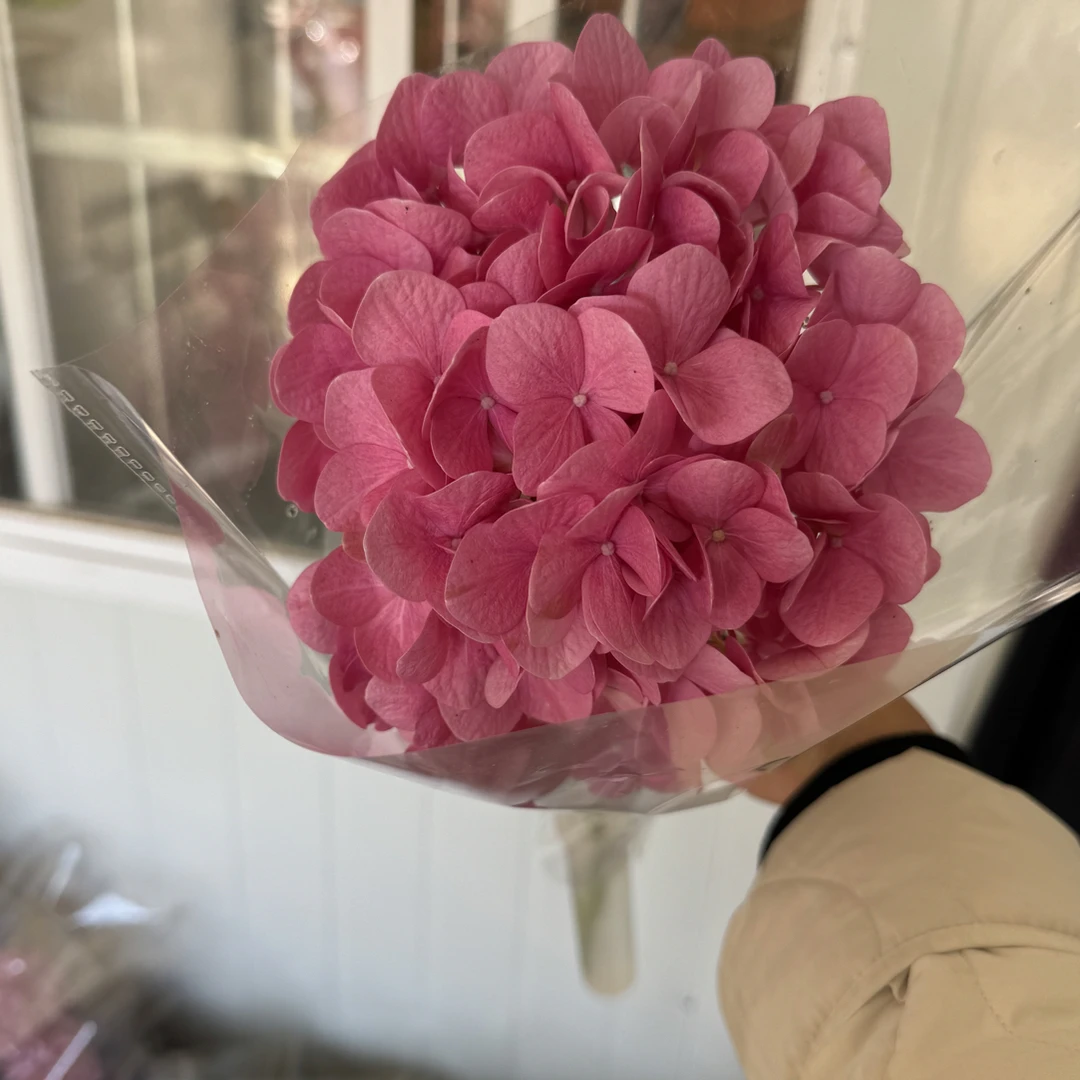 4支小粉 小绣球真花朵婚礼堂花墙插花diy花艺布景