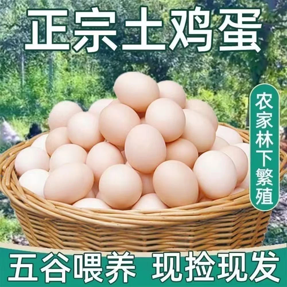 【初生小鸡蛋】正宗山林五谷杂粮放养新鲜土鸡蛋10枚