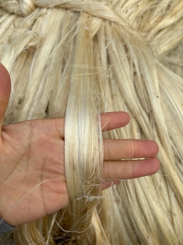 老式精品青白麻丝苘麻散装填充物专用绳子原麻水暖管件密封麻苘丝