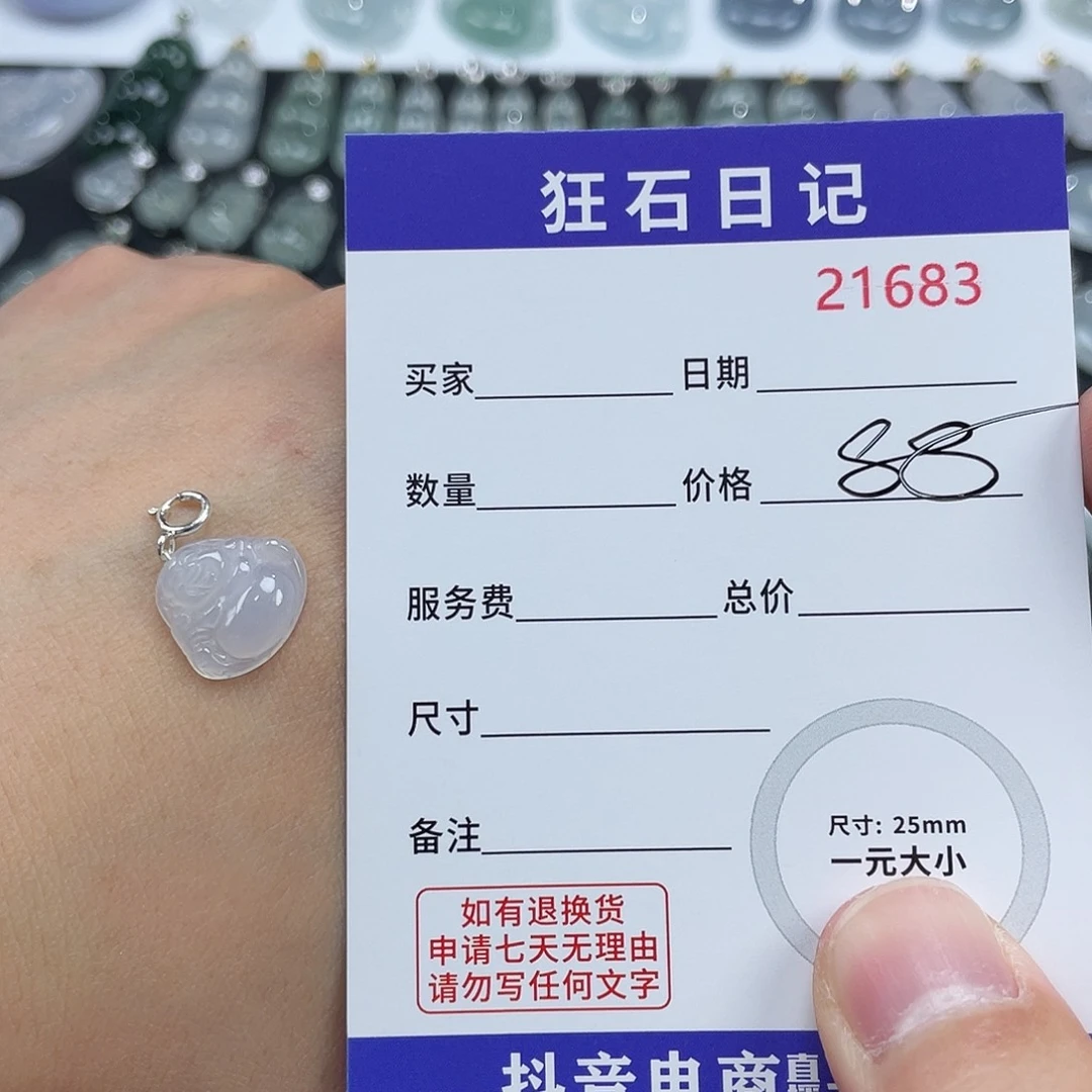 用***3翡翠银S925镶嵌颈饰
