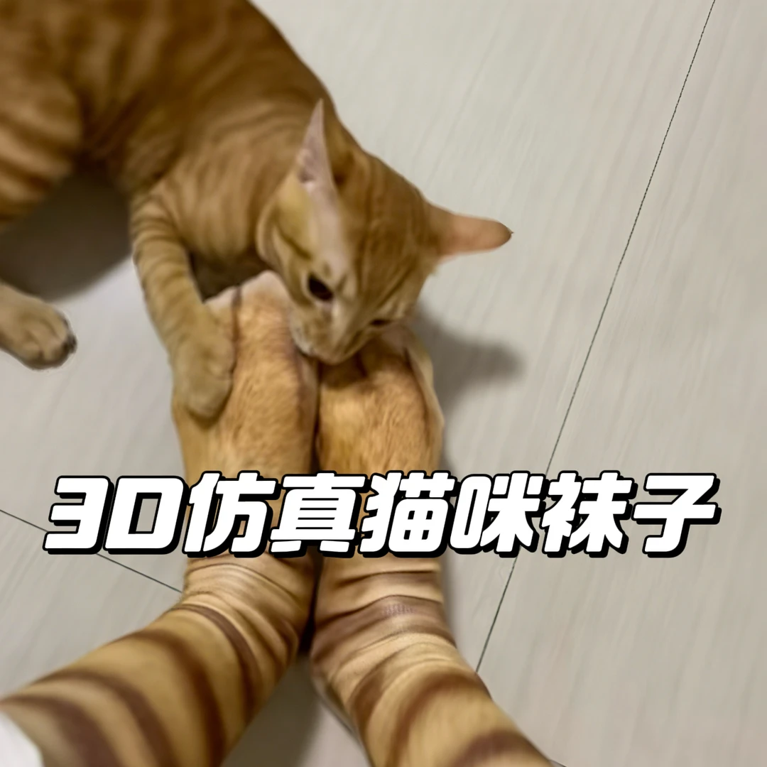 爆款3D猫咪爪子逗猫玩具整蛊印花袜创意脚蹄猫爪狗爪立体仿真袜子