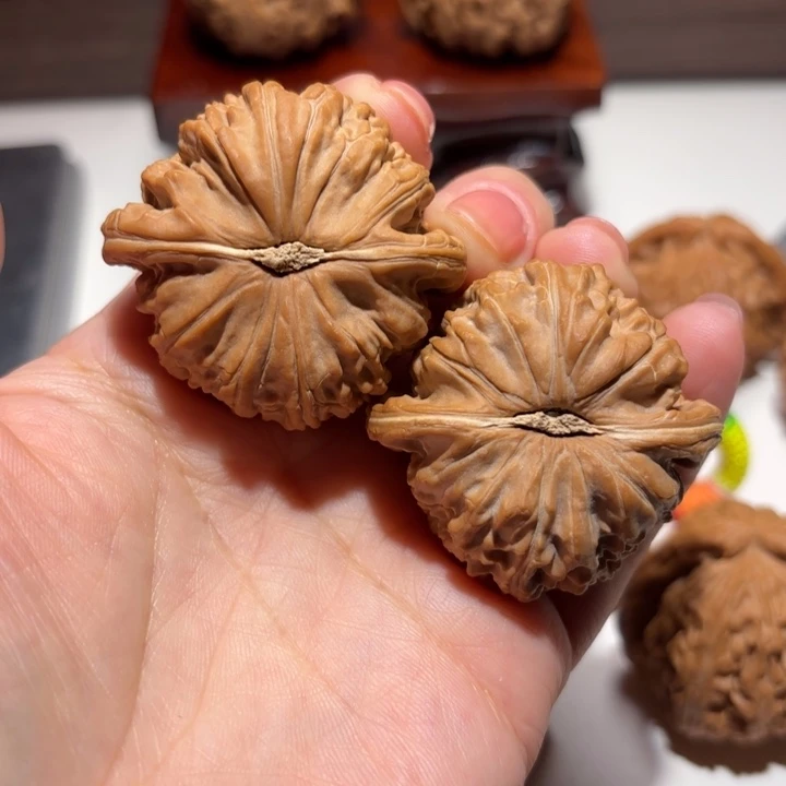 剑***柜核桃42尺寸球白狮子