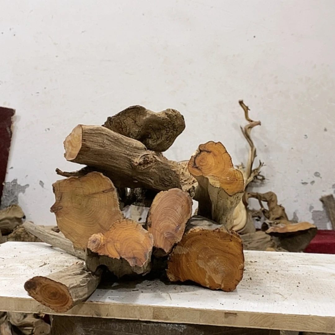 【闪购商品】柏木一****特我们都是好孩子