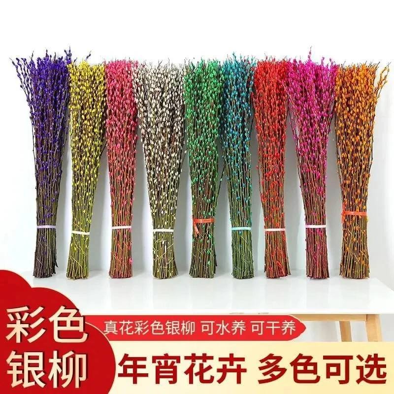 热卖年宵花精品七彩银柳染色干花鲜切枝福桶材料红色花期久可水养