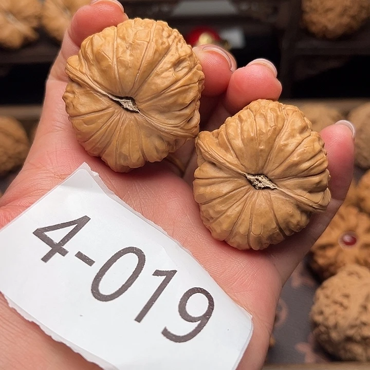 核桃41南瓜墩4019