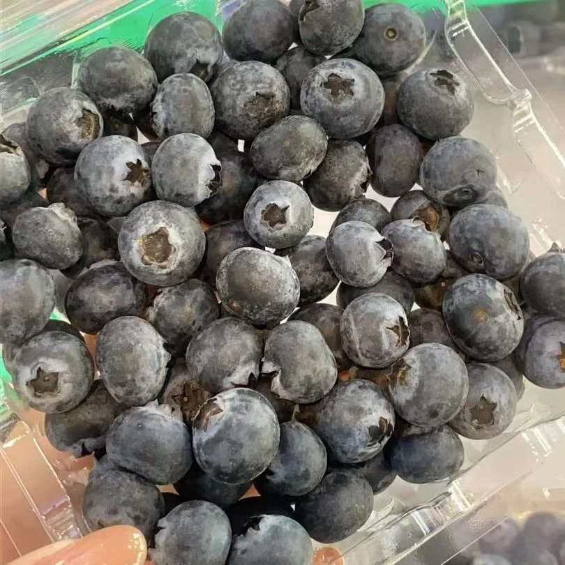 【活动爆款】云南蓝莓（果径12mm+）125g优瑞卡云南省曲靖市