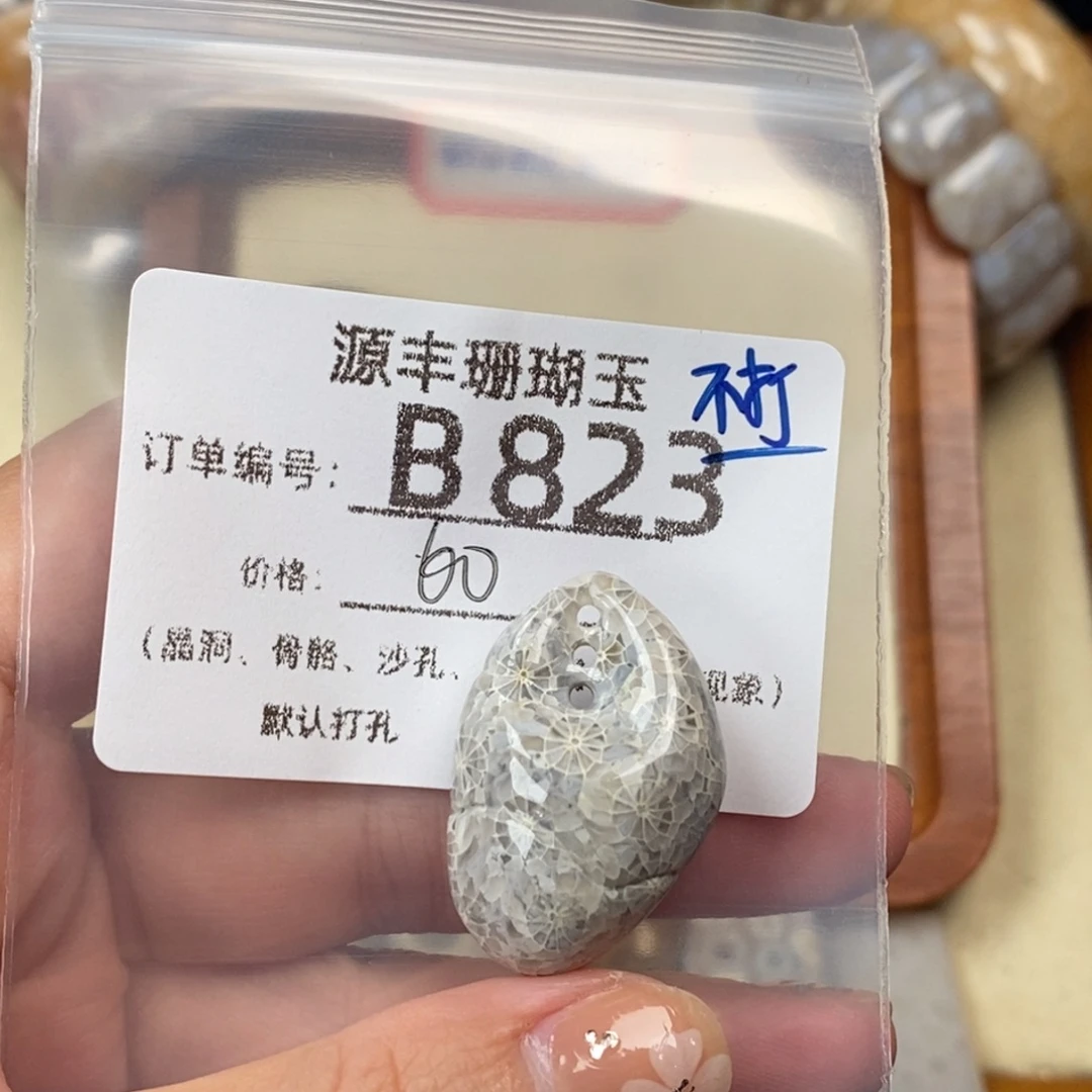 T***y未镶嵌颈饰硅化玉
