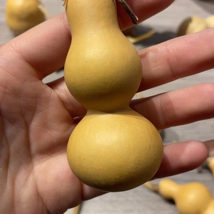 J*粗嘴葫芦粗嘴葫芦