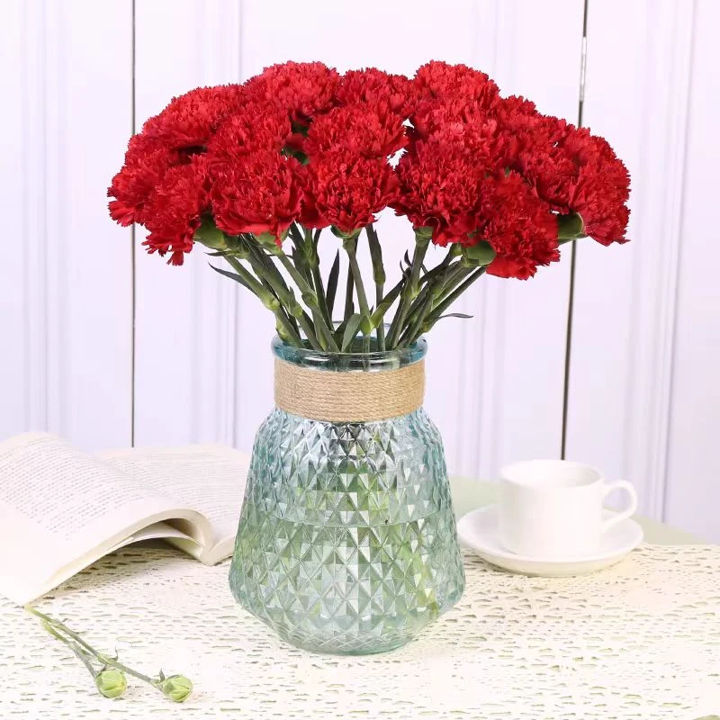 【年宵花】康乃馨鲜花家用水养单头多种颜色一把18-20枝（会有1-2枝损耗）送妈妈同城小时达