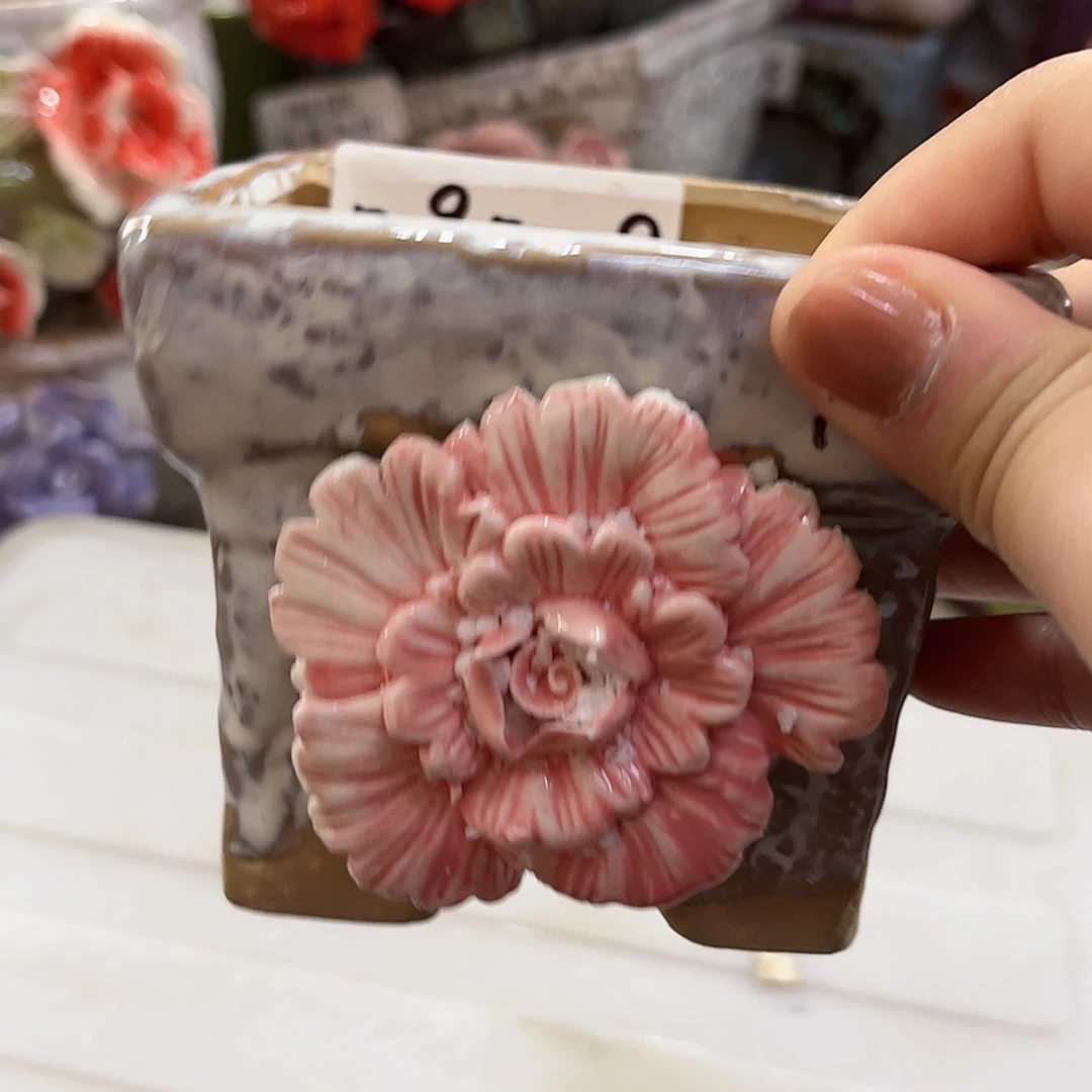 【闪购商品】福利福利福利福利