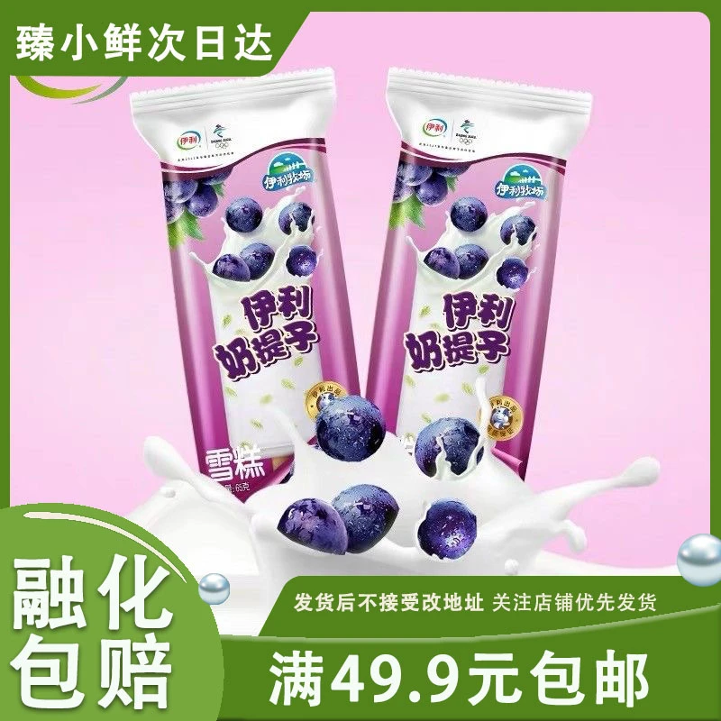 【3支】伊利奶提子雪糕冰淇淋冷饮65g/支网红雪糕
