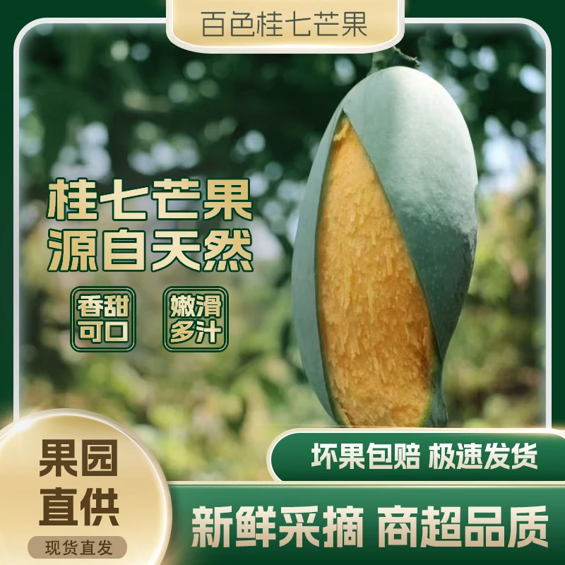 广西百色桂七芒果当季新鲜水果产地直发新鲜采摘包邮5/10斤·