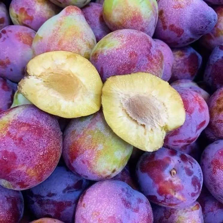 东北特产吉盛鸡心干丸李子