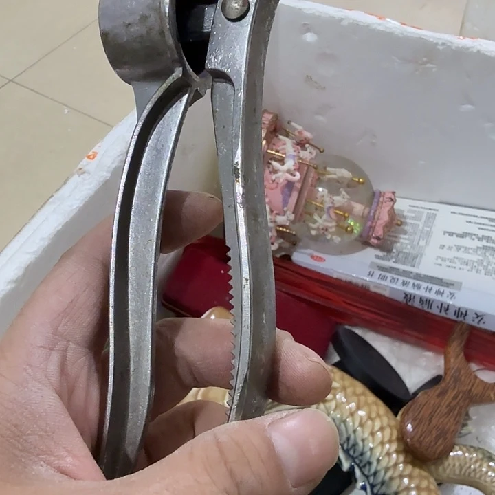 起***点扇子 哥哥哥哥vvv宝贝恍恍惚惚