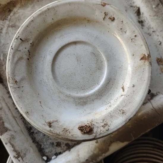 瓷发十个碟子国营四厂库存，