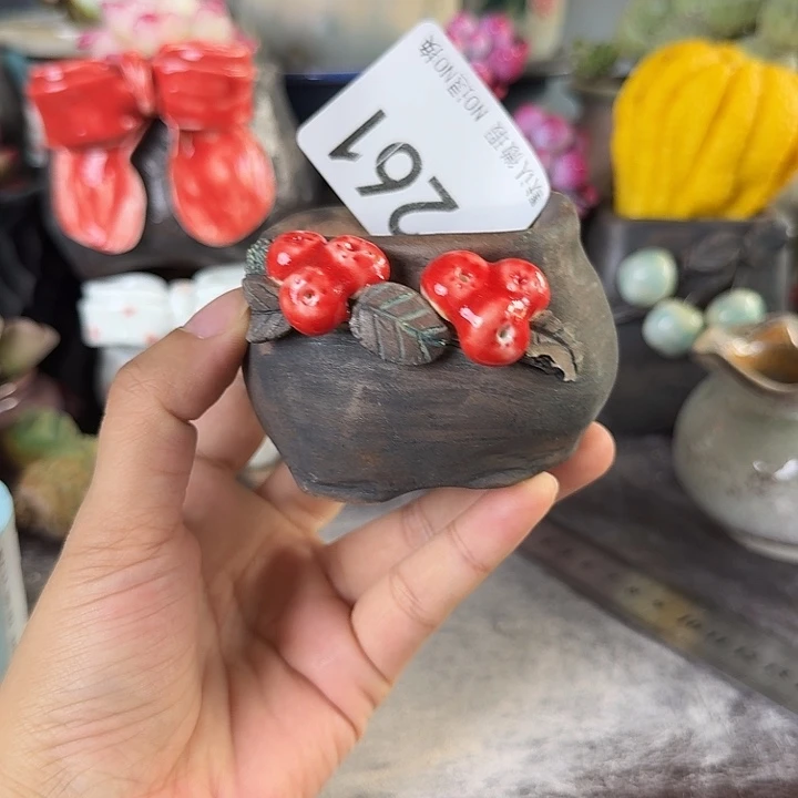 重庆小燕子欢迎大家261