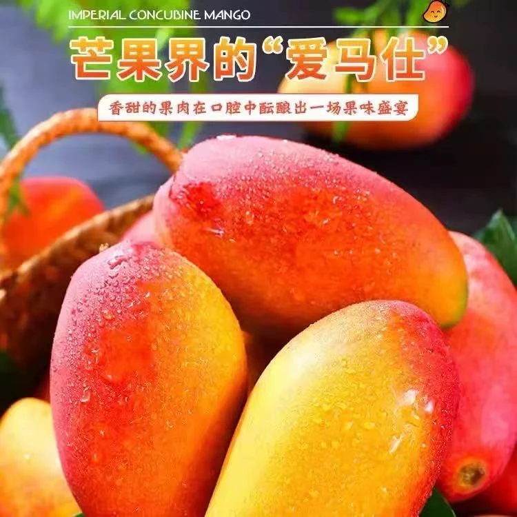 【放熟吃】海南贵妃芒果香甜多汁新鲜应季水果 现货包邮TT