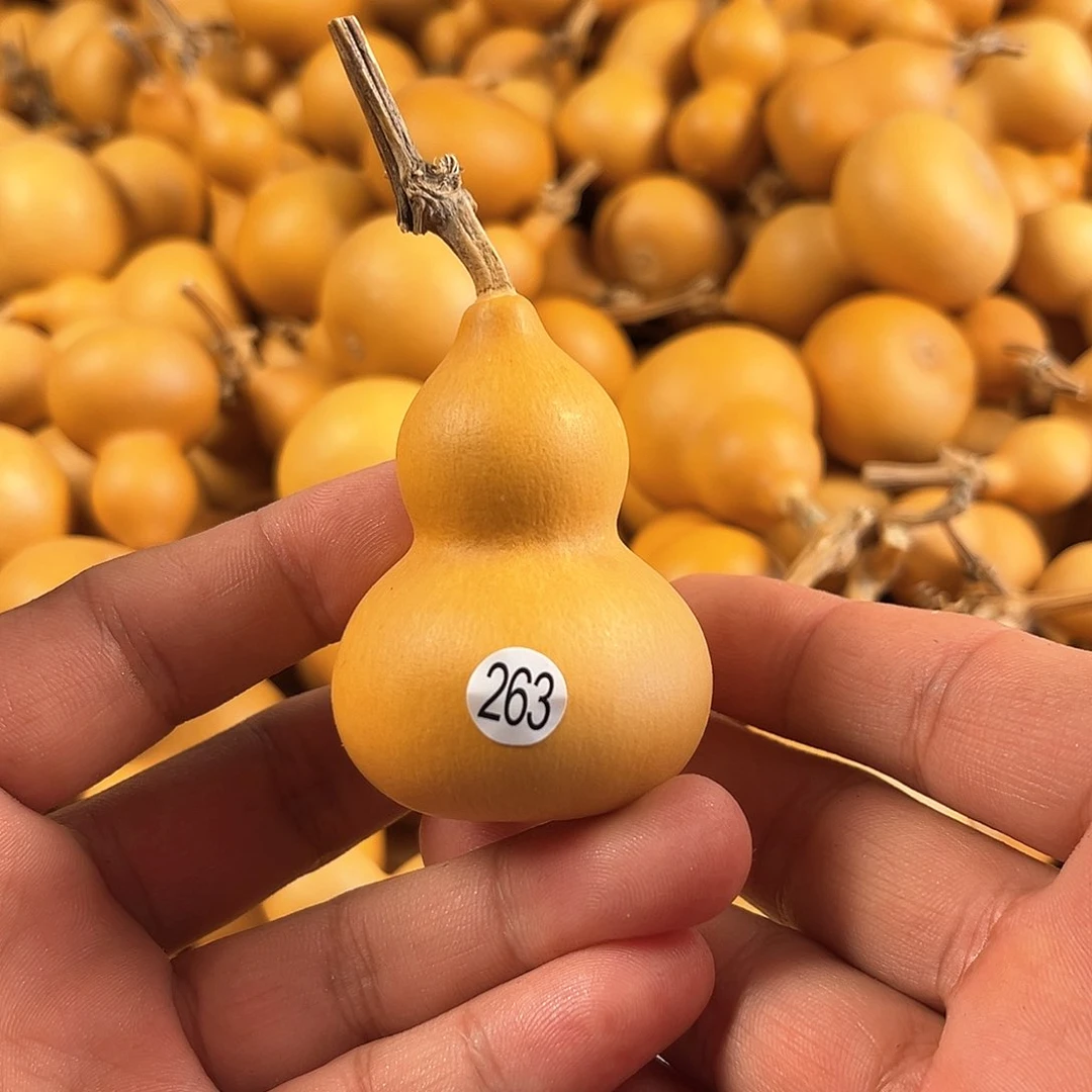 葫芦葫芦葫芦葫芦263