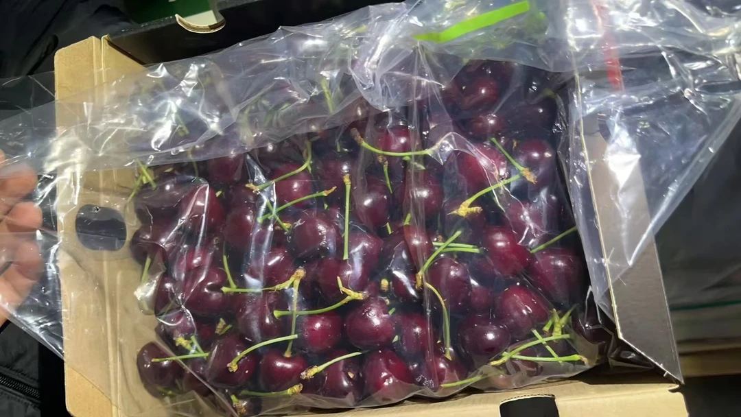 3J智力车厘子5斤净果