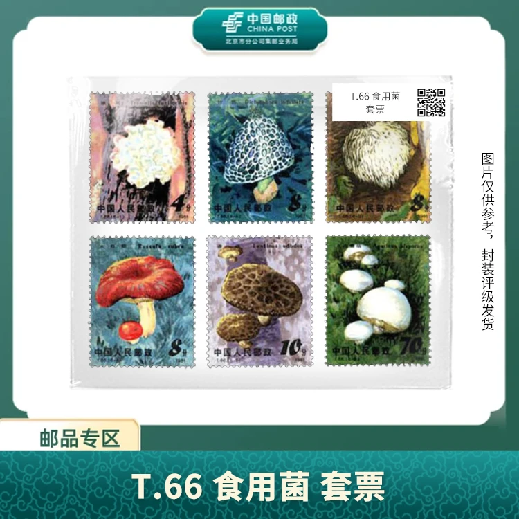 中国邮政-T.66 食用菌 套票S