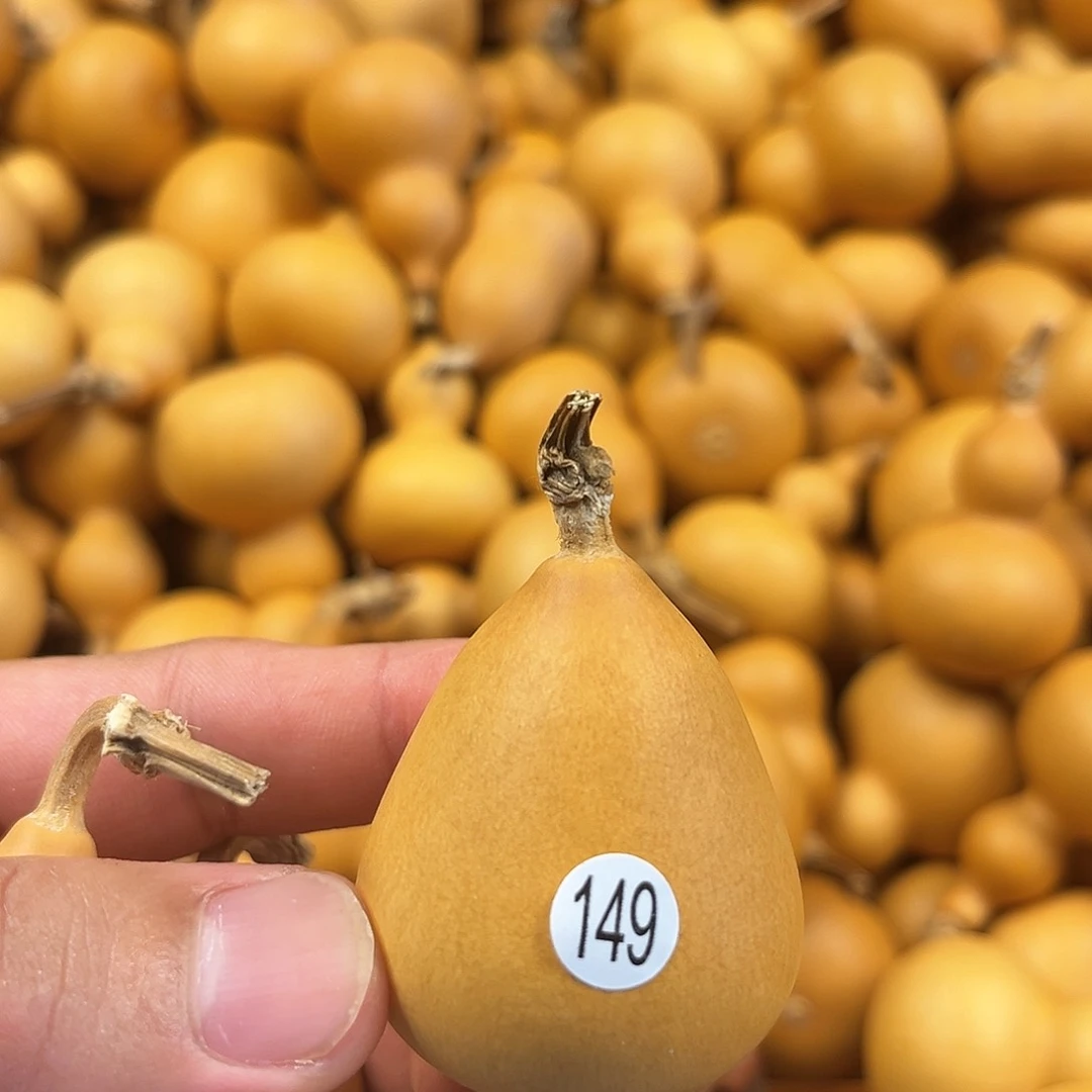 四葫芦葫芦葫芦葫芦149