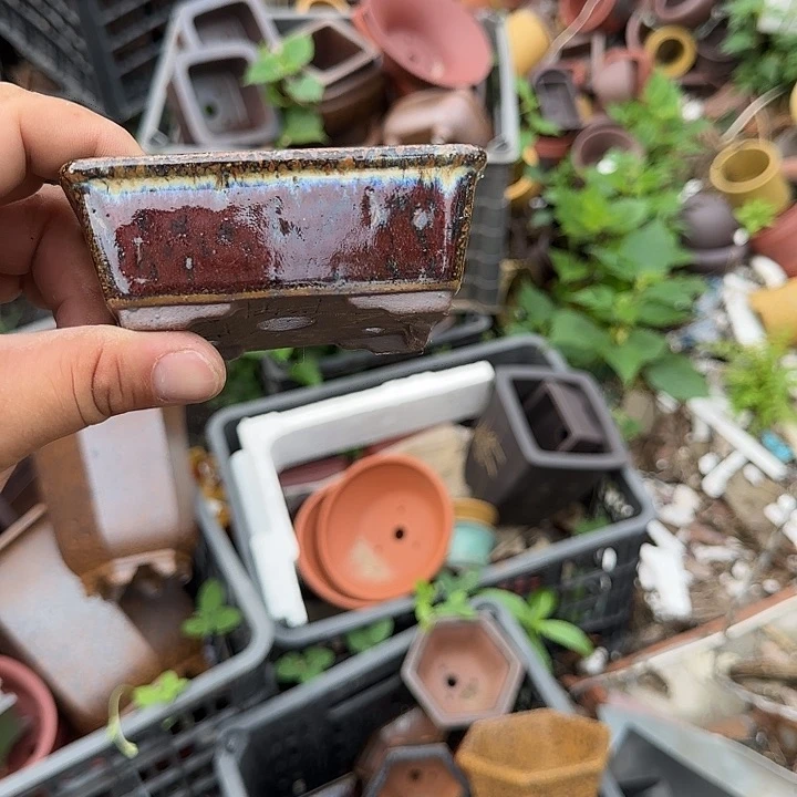 你不说不让她干呀么是