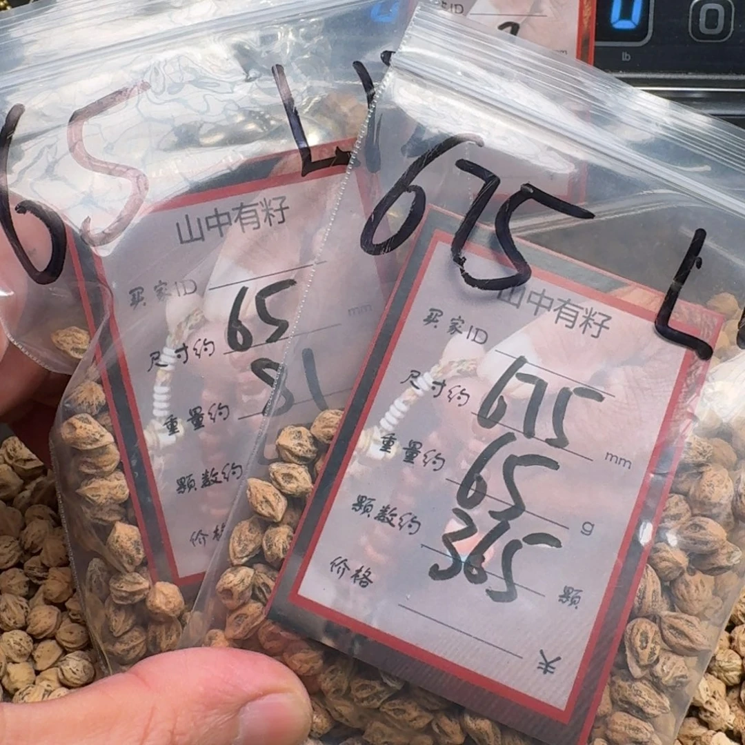 新***仔柏香籽/百香籽吊坠