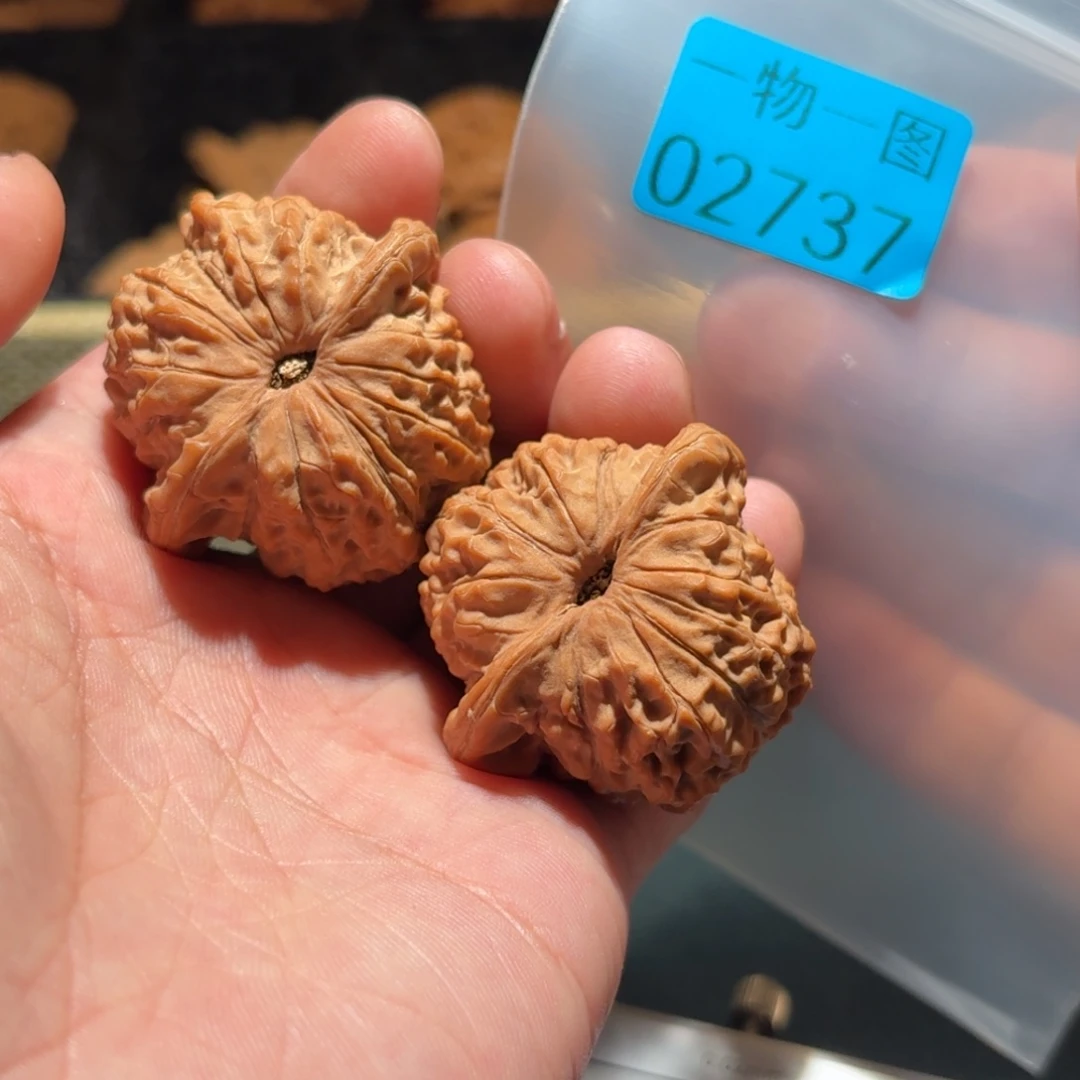 文玩核桃把件血麒麟