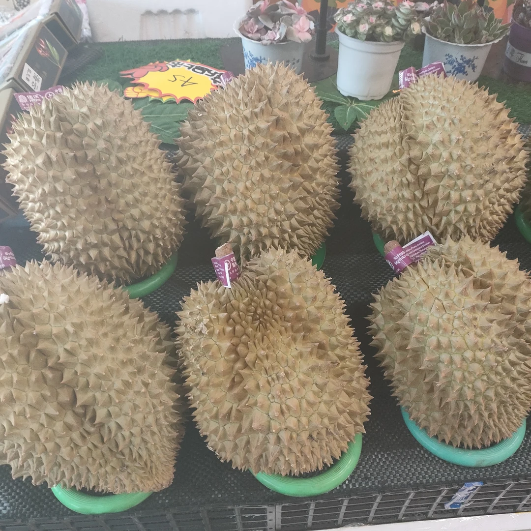 泰国金枕鲜榴莲2-9斤左右核小一个整果榴莲同城送榴莲同城送榴莲同城配金枕