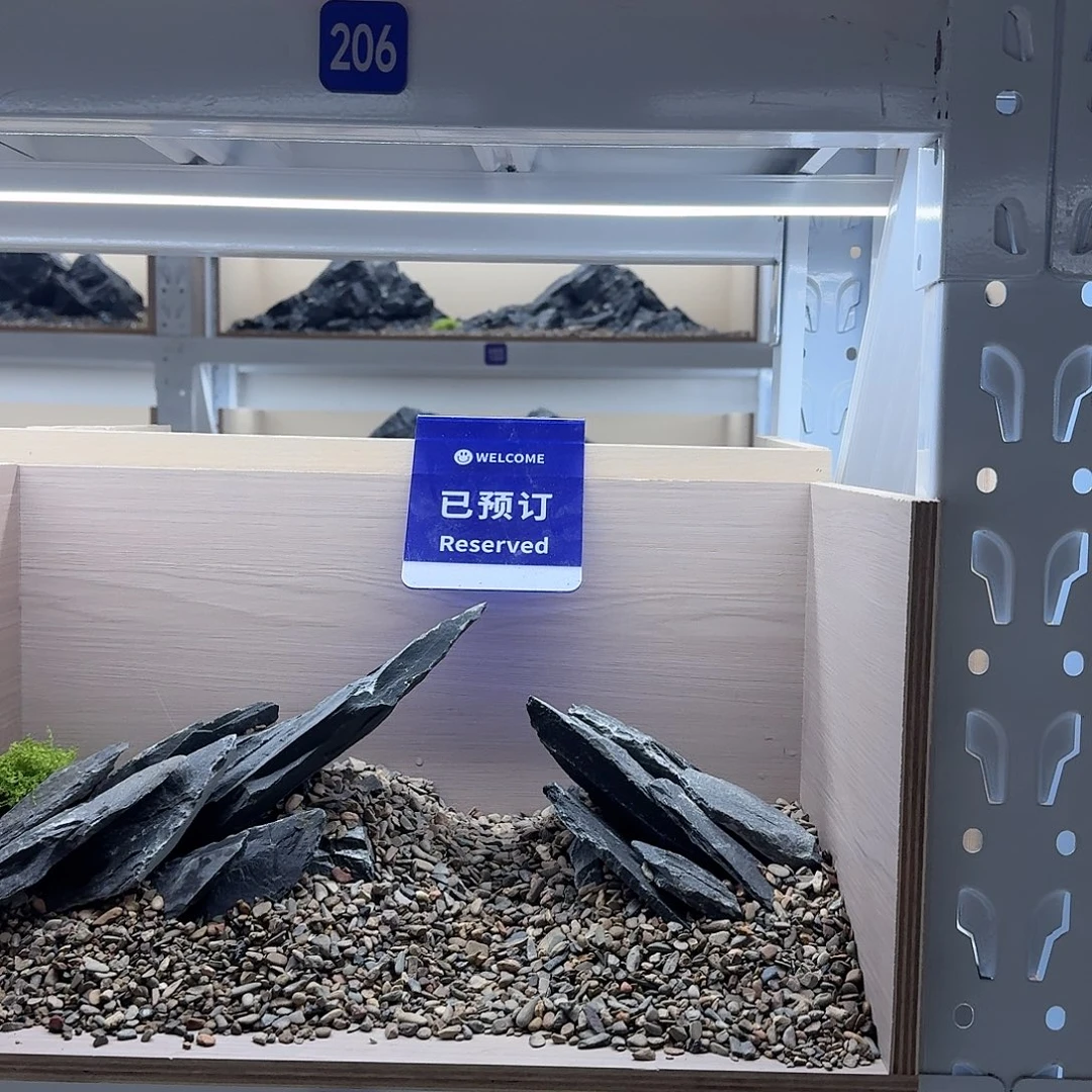 210造景40鱼缸重新搭配一套